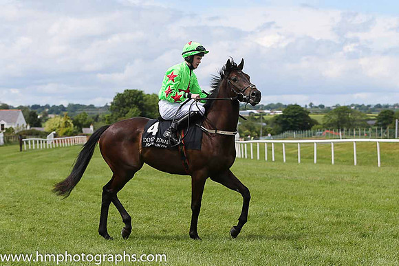 08th You Gotta Move ( 4 , light green, red star ) and T.P. Madden (5) - Trainer : Miss Tara Lee Cogan - Owner : Star Contractors Limited