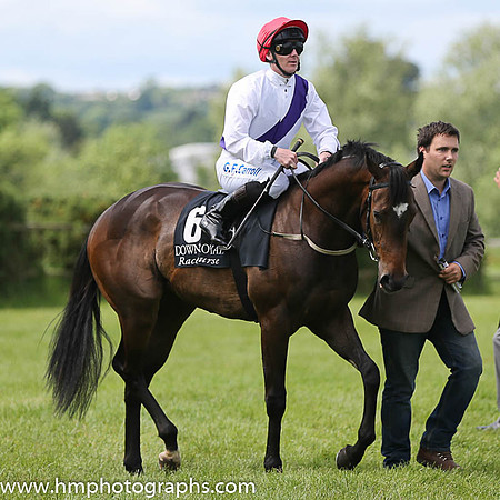 09th Arjeed ( 6 , white, purple sash ) and G.F. Carroll - Trainer : Lee Smyth - Owner : Richard Auld