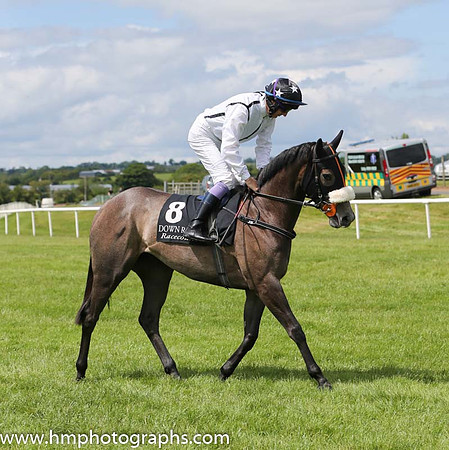07th Love Is All Around ( 8 , white, black seams ) and F.M. Berry - Trainer : Mrs John Harrington - Owner : Love Is All Around Syndicate