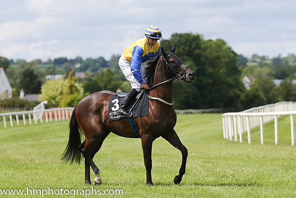 06th Trenchtown Rock ( 3 , yellow, royal blue disc ) and N.G. McCullagh - Trainer : Charles O'Brien - Owner : Painestown Syndicate