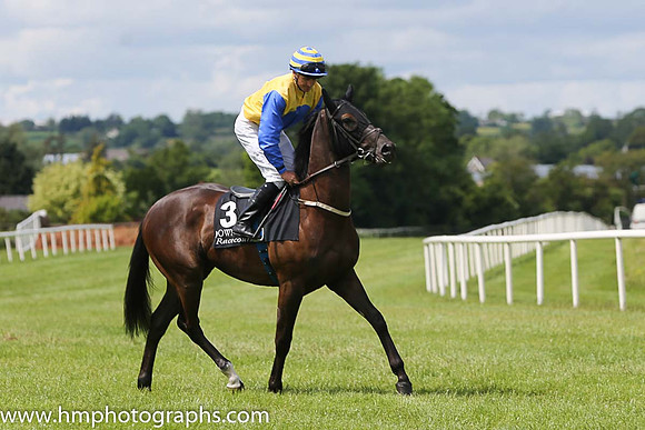 06th Trenchtown Rock ( 3 , yellow, royal blue disc ) and N.G. McCullagh - Trainer : Charles O'Brien - Owner : Painestown Syndicate