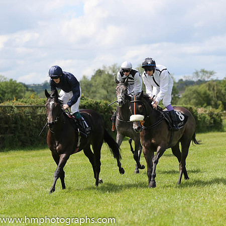 01st Independence Day ( 1 , dark blue ) and W.J. Lee - Trainer : David Wachman - Owner : Mrs.John Magnier/Michael Tabor/Derrick Smith