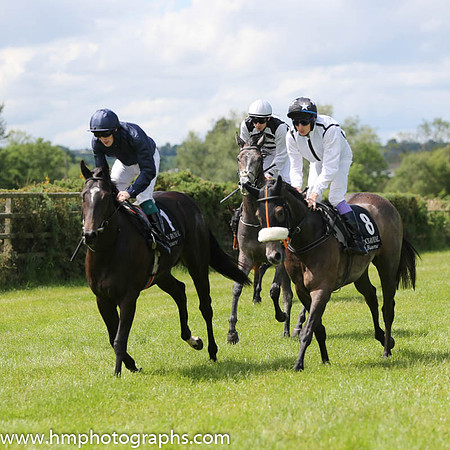 07th Love Is All Around ( 8 , white, black seams ) and F.M. Berry - Trainer : Mrs John Harrington - Owner : Love Is All Around Syndicate