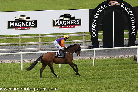 09th La Bella Rose ( 13 , purple, orange sleeves ) and L.F. Roche - Trainer : Philip M. Byrne - Owner : P.Grogan/Eoin Lyons