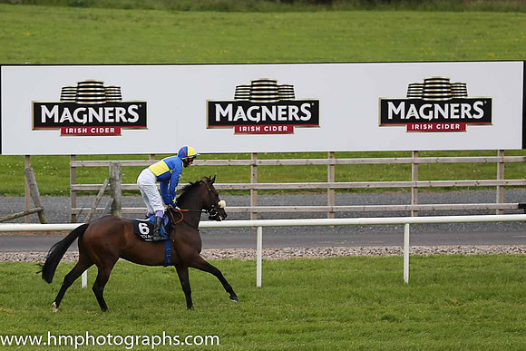04th Mick Slates ( 6 , yellow and royal blue qtrd ) and F.M. Berry - Trainer : A.J.Martin - Owner : Ormskirk Partnership