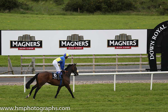 04th Mick Slates ( 6 , yellow and royal blue qtrd ) and F.M. Berry - Trainer : A.J.Martin - Owner : Ormskirk Partnership