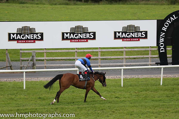 12th Regal Power (GB) ( 4 , royal blue, black hoop ) and R.P. Downey (5) - Trainer : Marcus Callaghan - Owner : Mrs. W. Callaghan