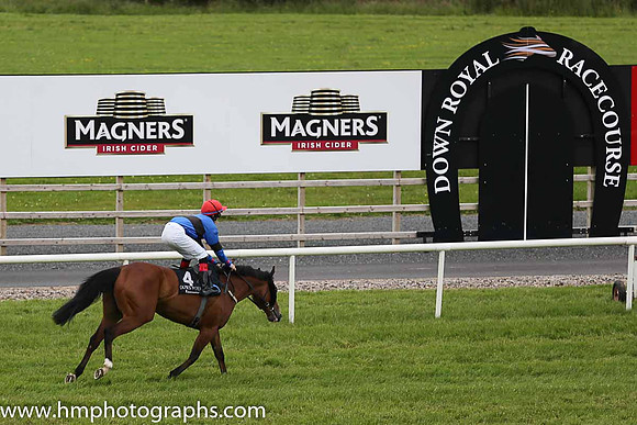 12th Regal Power (GB) ( 4 , royal blue, black hoop ) and R.P. Downey (5) - Trainer : Marcus Callaghan - Owner : Mrs. W. Callaghan