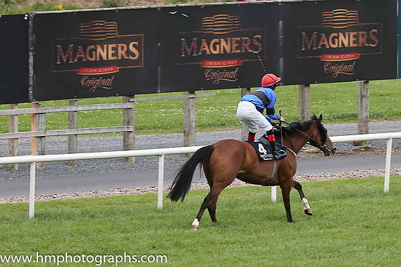 12th Regal Power (GB) ( 4 , royal blue, black hoop ) and R.P. Downey (5) - Trainer : Marcus Callaghan - Owner : Mrs. W. Callaghan