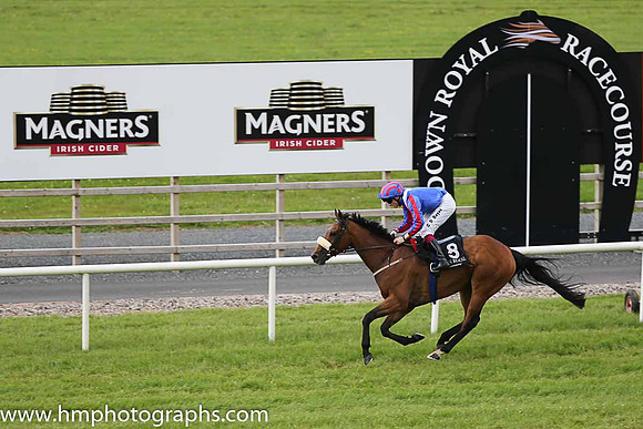 01st Cheers Buddy ( 8 , royal blue, white epaulettes ) and C.D. Hayes - Trainer : Lee Smyth - Owner : Miss Y Lowe