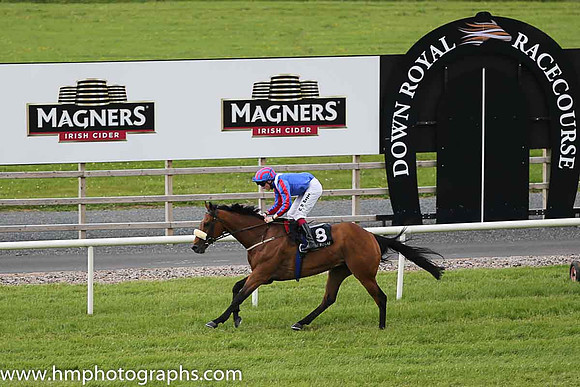 01st Cheers Buddy ( 8 , royal blue, white epaulettes ) and C.D. Hayes - Trainer : Lee Smyth - Owner : Miss Y Lowe