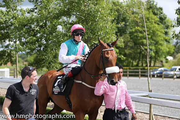 10th Tuk Tuk (GB) ( 7 , emerald green , pink sash ) and L.F. Roche - Trainer : D. K. Weld - Owner : K. Abdullah