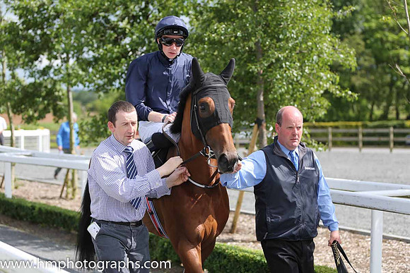 02nd Fields Of Athenry ( 1 , dark blue ) and J.P. O'Brien - Trainer : A.P.O'Brien - Owner : Mrs.John Magnier