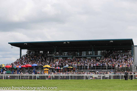 Grand Stand at Down Royal on Derby Day
