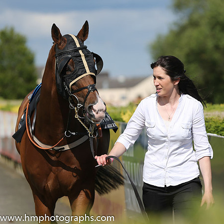 04th Deputy Consort (USA) ( 2 , yellow, red cross sashes ) and R.P. Cleary - Trainer : R. K. Watson - Owner : T.B. Ferris