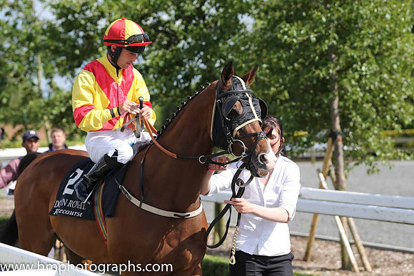 04th Deputy Consort (USA) ( 2 , yellow, red cross sashes ) and R.P. Cleary - Trainer : R. K. Watson - Owner : T.B. Ferris