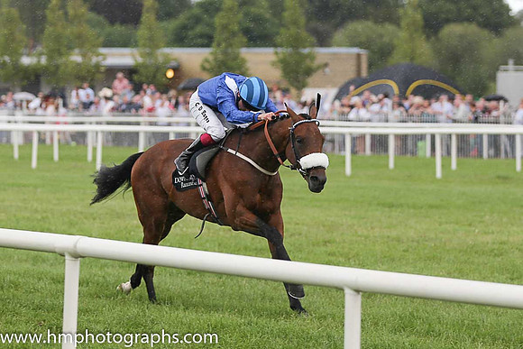 01st Mufrad ( 5 , royal blue, white epaulettes ) and C.D. Hayes - Trainer : Kevin Prendergast - Owner : Hamdan Al Maktoum