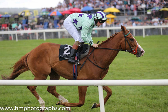 07th Sea Bank (GB) ( 2 , light green, purple stars ) and G.P. Halpin (5) - Trainer : H.Rogers - Owner : Thomas Cox/Ralph Kelly/P. Scully