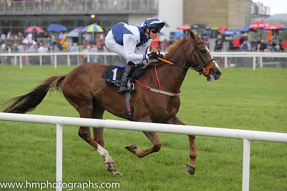 08th Bellaney In Motion ( 1 , dark blue, white chevron ) and R. Coakley (5) - Trainer : D.M. Christie - Owner : J.W. Rosbotham