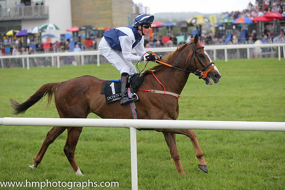 08th Bellaney In Motion ( 1 , dark blue, white chevron ) and R. Coakley (5) - Trainer : D.M. Christie - Owner : J.W. Rosbotham