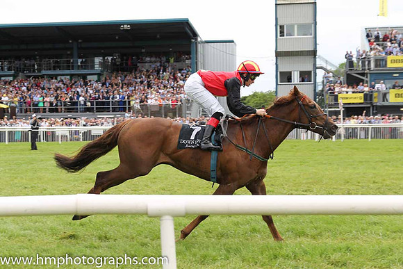08th Danz Gift ( 7 , red, yellow panel ) and R.P. Downey (5) - Trainer : Ms. Sheila Lavery - Owner : John Lavery
