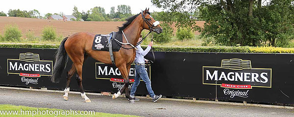 07th Azzuri (GB) ( 8 , white, large royal blue spots ) and S. Foley - Trainer : G.M.Lyons - Owner : Sean Jones
