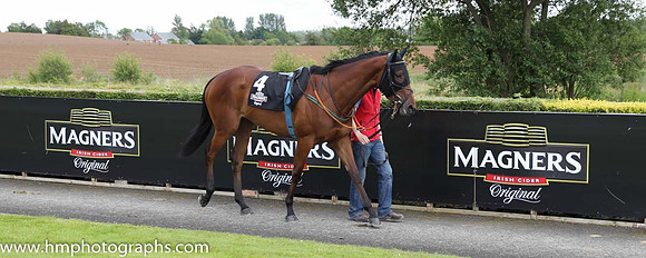 09th Whitehaven Bay (GB) ( 4 , brown, pink diamond ) and R.P. Whelan - Trainer : Ms. Sheila Lavery - Owner : Mugs Syndicate