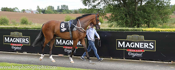 07th Azzuri (GB) ( 8 , white, large royal blue spots ) and S. Foley - Trainer : G.M.Lyons - Owner : Sean Jones