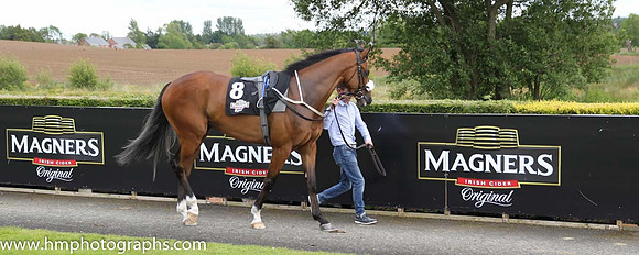 07th Azzuri (GB) ( 8 , white, large royal blue spots ) and S. Foley - Trainer : G.M.Lyons - Owner : Sean Jones
