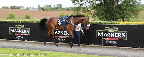 08th Buenos Y Bobos ( 2 , yellow, red epaulettes ) and C.T. Keane - Trainer : G.M.Lyons - Owner : Anamoine Limited