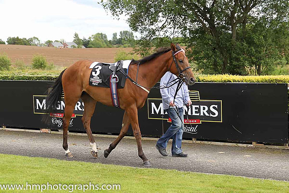 05th King Christophe ( 3 , white, brown panel ) and C.D. Hayes - Trainer : P.J.Prendergast - Owner : Sean Greaney
