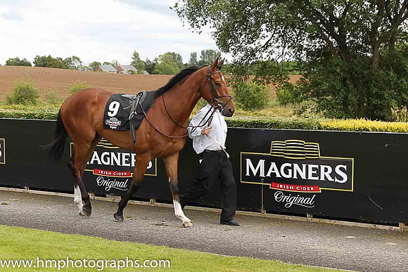 01st Botany Bay ( 9 , scarlet, white sleeves ) and N.G. McCullagh - Trainer : Charles O'Brien - Owner : Mrs Jacqueline O'Brien/Mrs.John Magnier/Michael Tabor