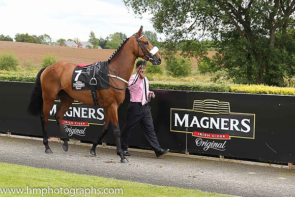 10th Tuk Tuk (GB) ( 7 , emerald green , pink sash ) and L.F. Roche - Trainer : D. K. Weld - Owner : K. Abdullah