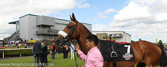 Parade Ring at Ulster Derby Day at Down Roya