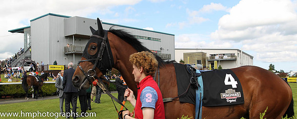 Parade Ring at Ulster Derby Day at Down Roya