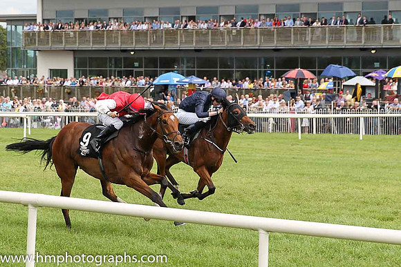 01st Botany Bay ( 9 , scarlet, white sleeves ) and N.G. McCullagh - Trainer : Charles O'Brien - Owner : Mrs Jacqueline O'Brien/Mrs.John Magnier/Michael Tabor