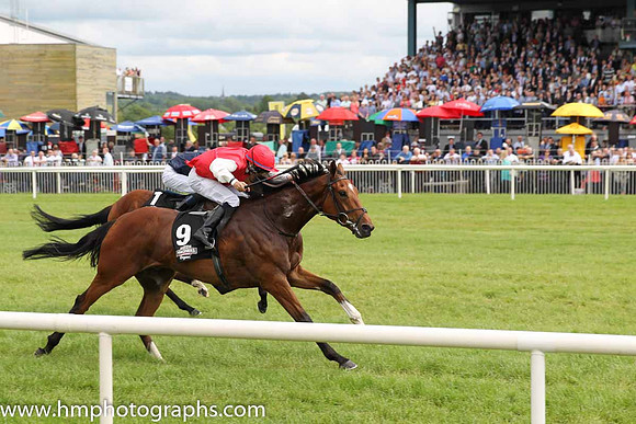 01st Botany Bay ( 9 , scarlet, white sleeves ) and N.G. McCullagh - Trainer : Charles O'Brien - Owner : Mrs Jacqueline O'Brien/Mrs.John Magnier/Michael Tabor