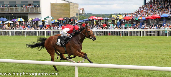01st Botany Bay ( 9 , scarlet, white sleeves ) and N.G. McCullagh - Trainer : Charles O'Brien - Owner : Mrs Jacqueline O'Brien/Mrs.John Magnier/Michael Tabor