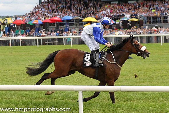 07th Azzuri (GB) ( 8 , white, large royal blue spots ) and S. Foley - Trainer : G.M.Lyons - Owner : Sean Jones