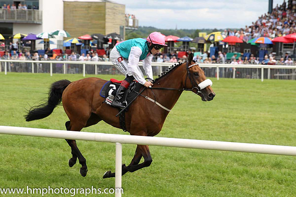 10th Tuk Tuk (GB) ( 7 , emerald green , pink sash ) and L.F. Roche - Trainer : D. K. Weld - Owner : K. Abdullah