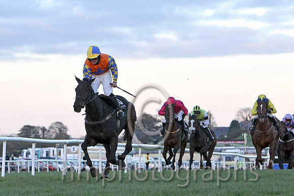 Gilt Shadow & Mr S Crawford - Winner (10, orange, royal blue star, yellow & royal blue check sleeves) - FT8E8265-e2b