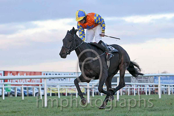 Gilt Shadow & Mr S Crawford - Winner (10, orange, royal blue star, yellow & royal blue check sleeves) - FT8E8266-eb