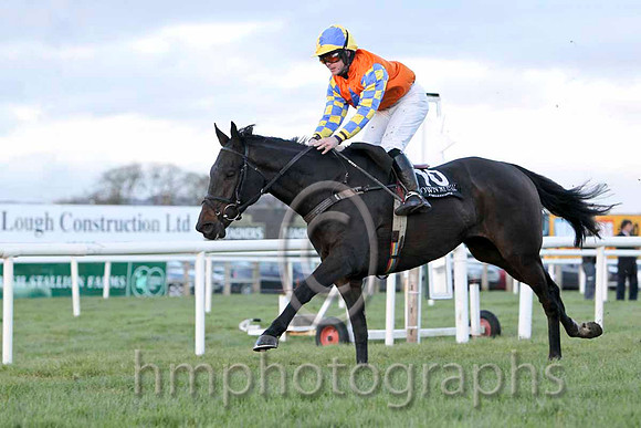 Gilt Shadow & Mr S Crawford - Winner (10, orange, royal blue star, yellow & royal blue check sleeves) - FT8E8269-e3