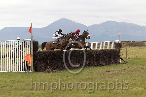 04 Butlersbridge & Derek O'Connor - 4th (1,black and white qtrd ) - FT8E0702-60