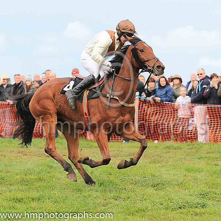 LOUGHVIEW LADDIE and M J O'Hare ( 4 , BEIGE,brown chevron; beige sleeves; brown cap ) Trainer: Mrs John B. Ross,, Owner : Macklin, Sean