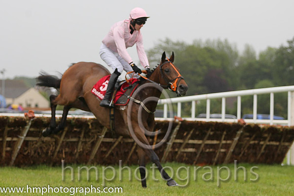04th Bengali ( 5 , pink, grey seams ) and M.P. Walsh - Trainer : Patrick Griffin - Owner : John P. Mangan