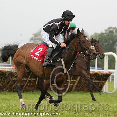 2nd The Nutcracker ( 2 , black, pink seams ) and A.E. Lynch - Trainer : Thomas Gibney - Owner : Mrs Heidi Gibney