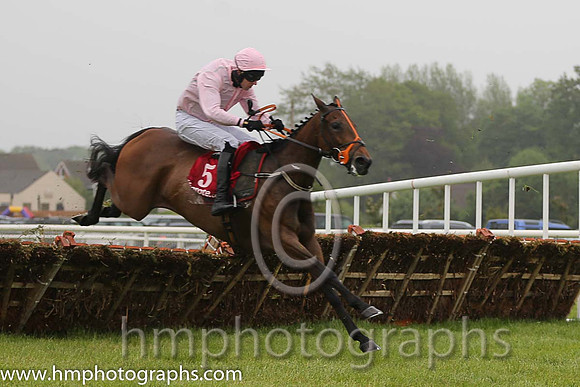 04th Bengali ( 5 , pink, grey seams ) and M.P. Walsh - Trainer : Patrick Griffin - Owner : John P. Mangan