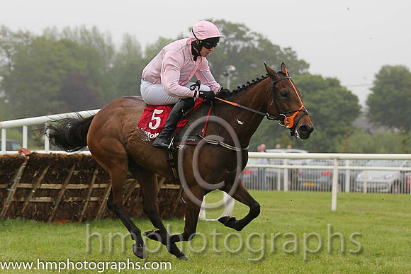 04th Bengali ( 5 , pink, grey seams ) and M.P. Walsh - Trainer : Patrick Griffin - Owner : John P. Mangan