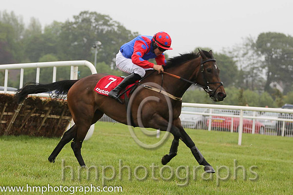 07th Auntie Annie ( 7 , royal blue, red epaulettes ) and R.C. Colgan - Trainer : Mrs Gillian Callaghan - Owner : E.J.P. Kane